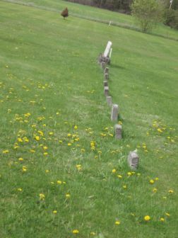 Nine little headstones